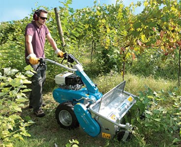 Macchine per agricoltura - Giardinaggio Mura